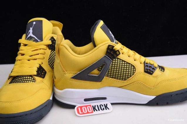 Air Jordan CT8527-700 Lightning Retro 4 1005